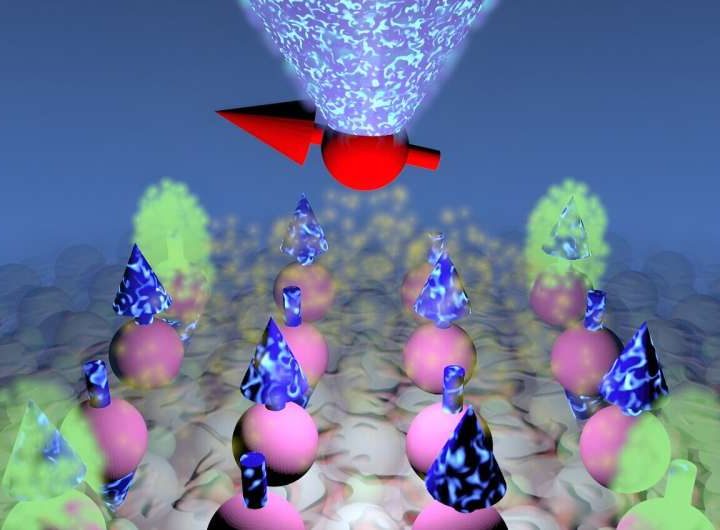 Researchers create entangled quantum magnets with protected quantum excitations