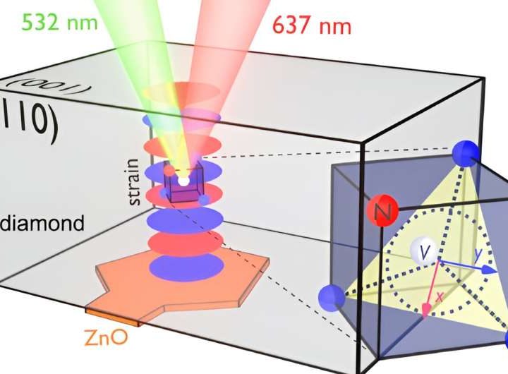 Sound drives ‘quantum jumps’ between electron orbits