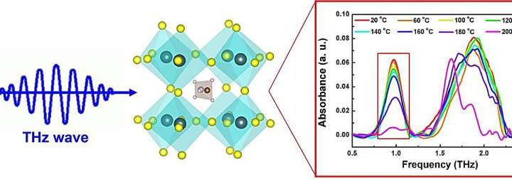 Terahertz detection: A novel approach to real-time monitoring of perovskite aging