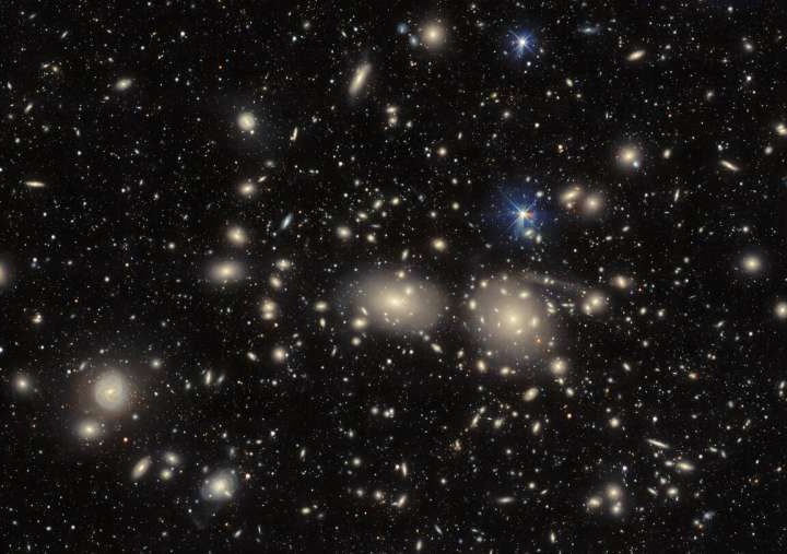 Dark Energy Camera probes the Coma Cluster, an inspiration for the theory of dark matter