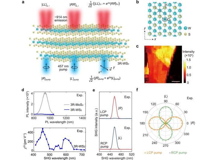 Scientists create ultracompact polarization-entangled photon sources for miniaturized quantum devices