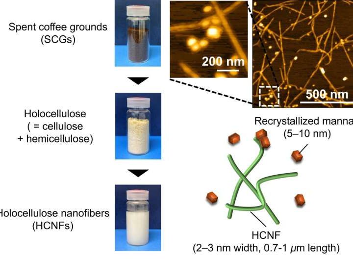 Upcycling spent coffee grounds by isolating Mannan-rich Holocellulose nanofibers