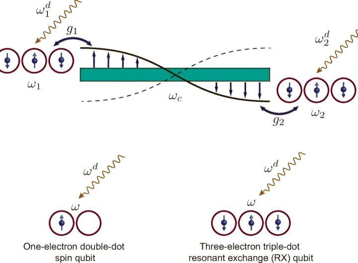 Theoretical research holds promise for advancing modular quantum information processing