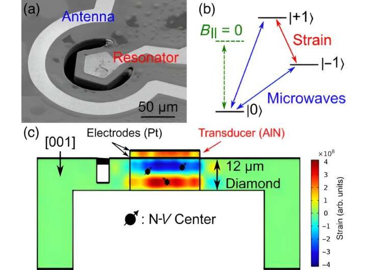 X-ray imagery of vibrating diamond opens avenues for quantum sensing