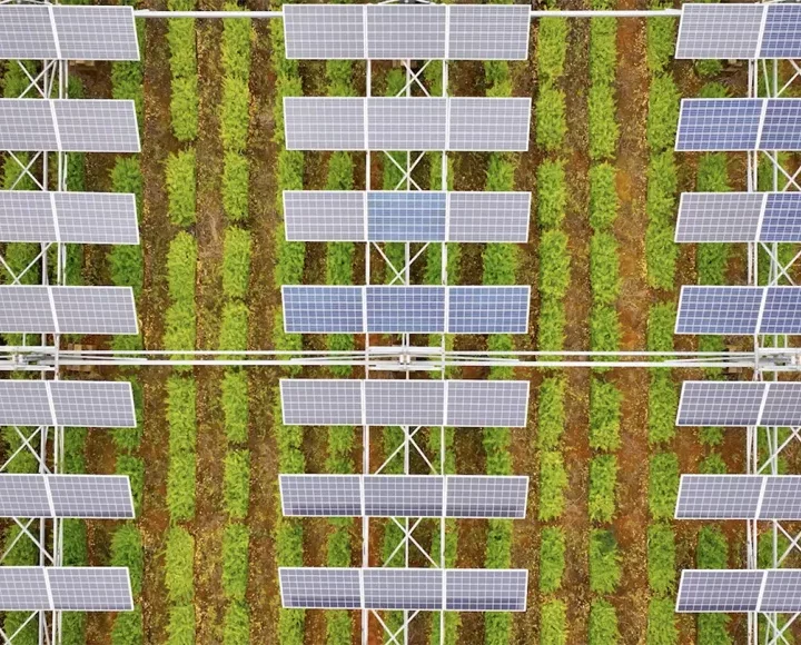 Can solar farms and crop farms coexist?