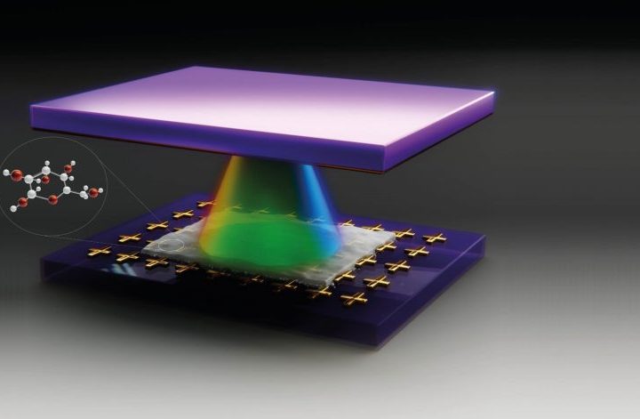 Quantum Alchemy: Scientists Fuse Light and Sugar To Create New States of Matter