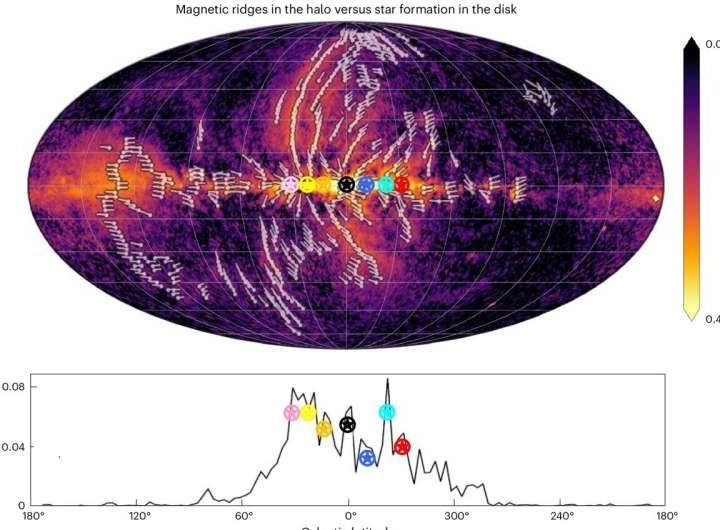 A magnetic halo in the Milky Way: New discoveries about galactic outflows