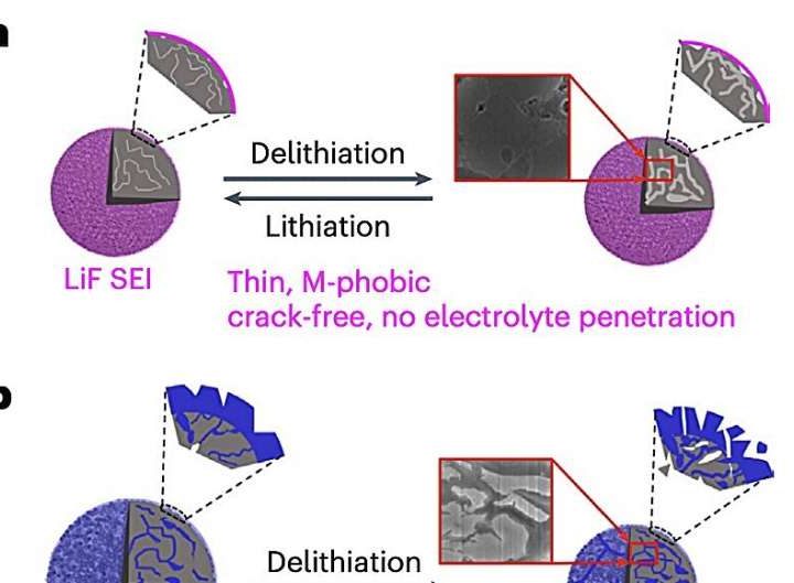 Asymmetric electrolyte design enables high-capacity anodes in lithium-ion batteries