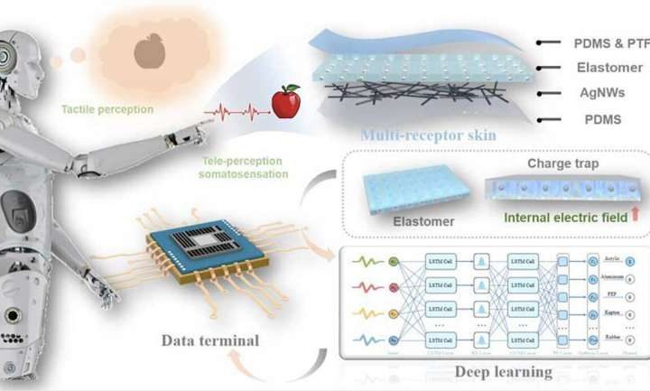 Researchers design platypus-inspired bionic multi-receptor skin