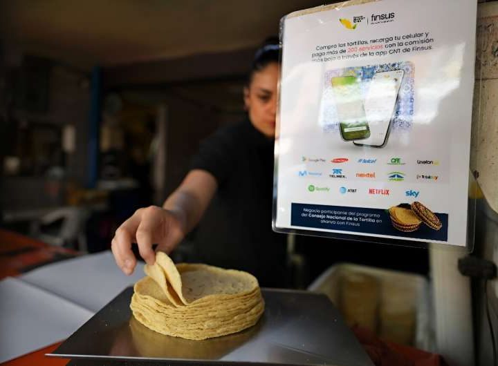 App helps Mexican tortilla makers join digital economy