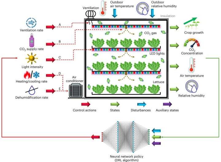 AI boosts indoor food production’s energy sustainability