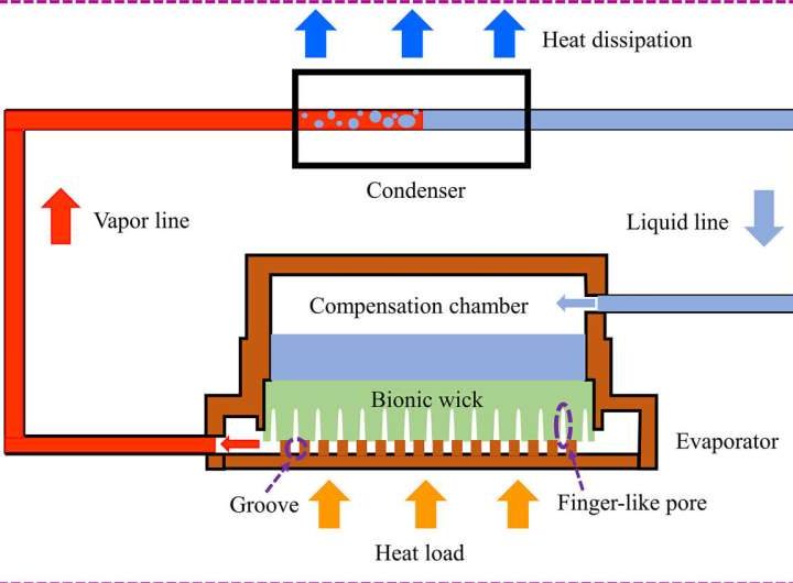 Bio-inspired wick enhances electronic chip cooling