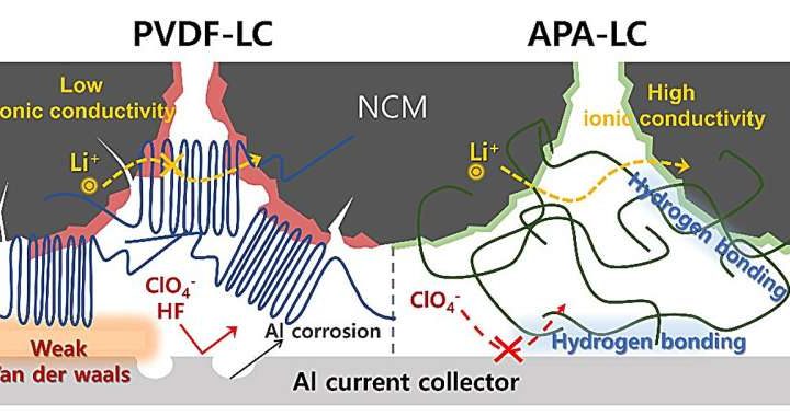 Fluoride-free batteries: Safeguarding the environment and enhancing performance