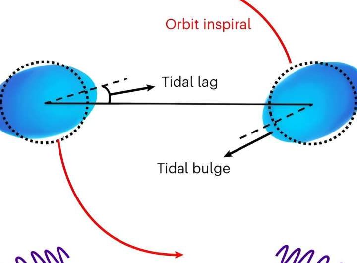 Gravitational waves unveil previously unseen properties of neutron stars