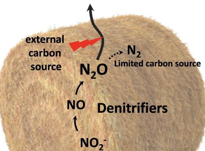 Silage production changes could cut greenhouse gas emissions from agriculture