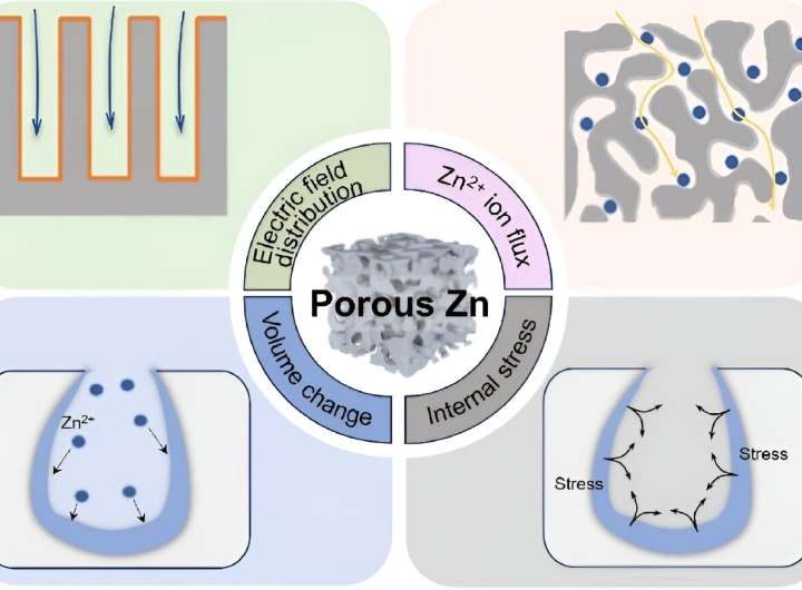 Harnessing the power of porosity: Advancing aqueous zinc-ion batteries and large-scale energy storage