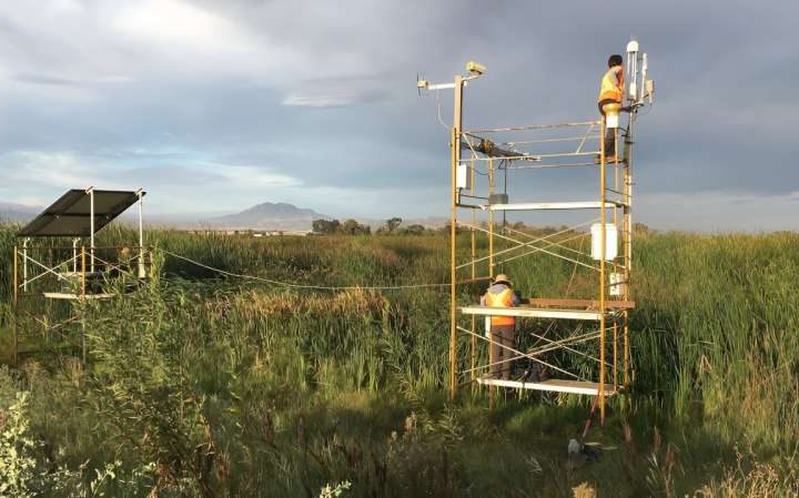 Tidal wetlands study offers improved predictions of methane gas emissions