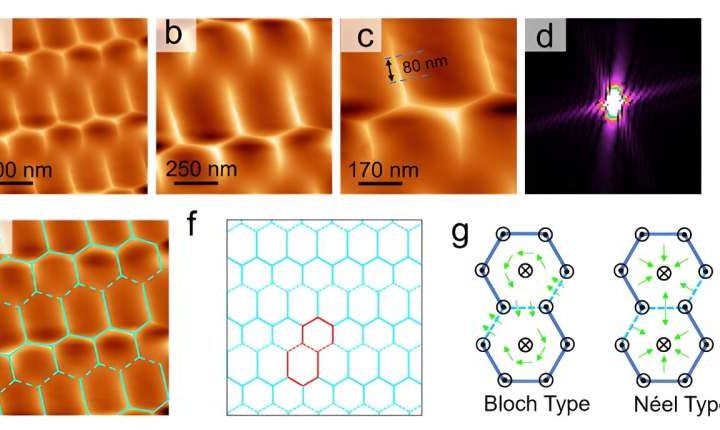 Intrinsic magnetic structure observed for the first time in a kagome lattice