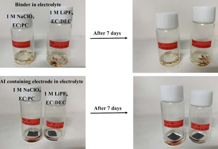 Scientists design high-performance polymer-based electrode binder for lithium and sodium-ion batteries