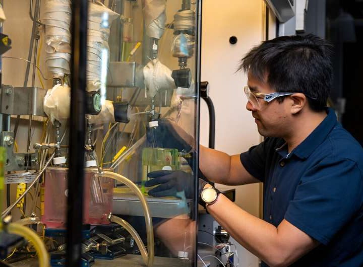 New continuous reaction process can help turn plant waste into sustainable aviation fuel