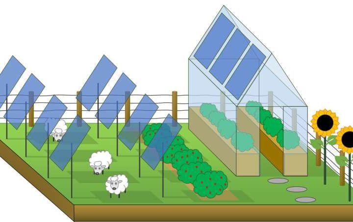 New research shines a light on how solar power and farming can coexist