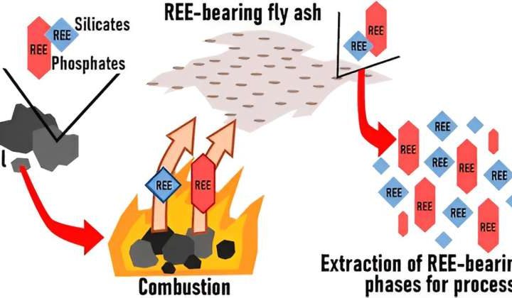 Recovering rare earth elements from coal ash for clean energy technologies