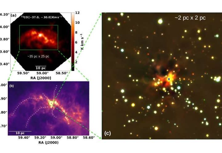 Researchers explore the nature of a newborn stellar cluster