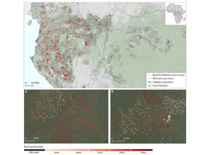 Road networks stretch into Congo Basin forests: Satellites and AI help to monitor