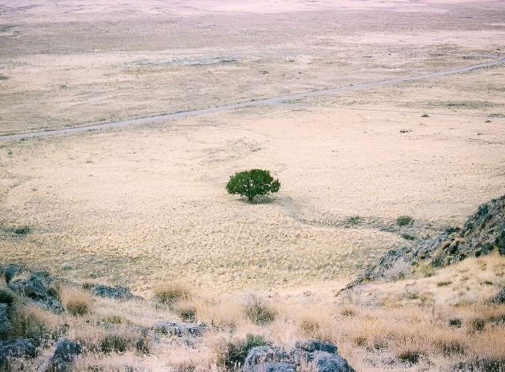 Scientists develop AI models able to predict future drought conditions with high accuracy