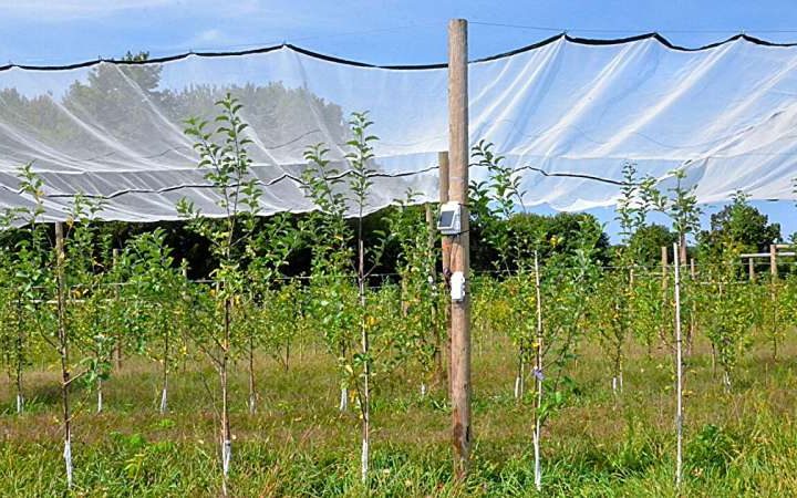 Solar panels soon may power and protect apple orchards