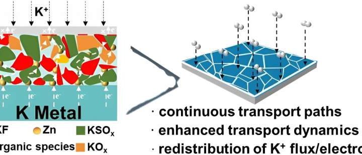 Unlocking the future of energy storage: The dendrite-free potassium anode