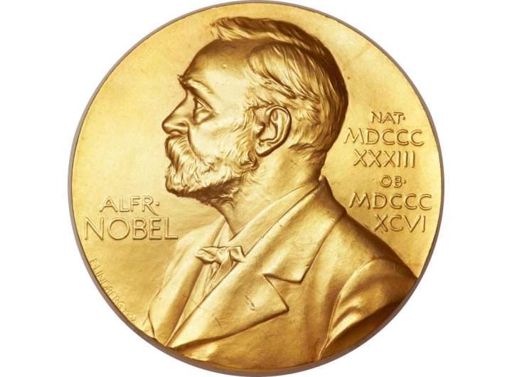 Physics Nobel awarded to neural network pioneers who laid foundations for AI