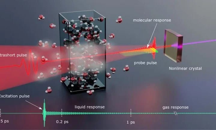 Ultrafast Laser Pulses Reveal Molecular Fingerprints in a Trillionth of a Second