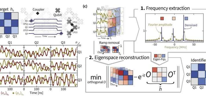 Novel protocols for estimating Hamiltonian parameters of a superconducting quantum processor could improve precision