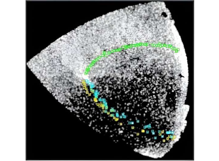 Astronomers detect multiple extended tidal tails in an old globular cluster