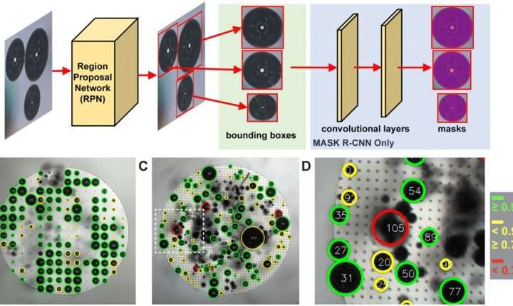 New insights into bubble interference could enhance electrode design