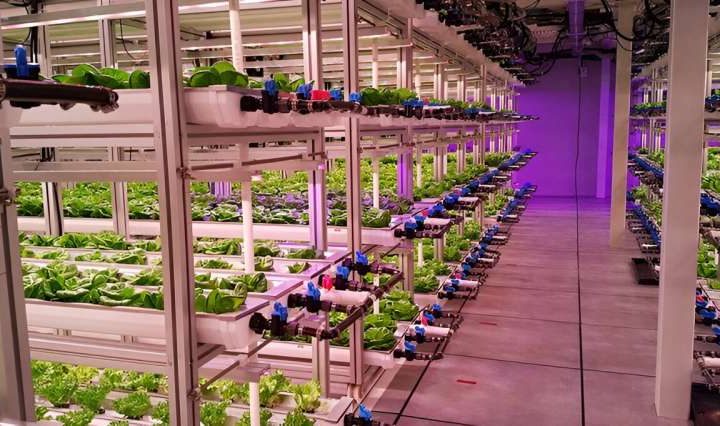 Dynamic environmental control for more efficient vertical farming