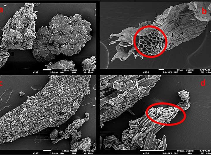 Farm waste can filter microplastics in surface runoff, prevent pollution