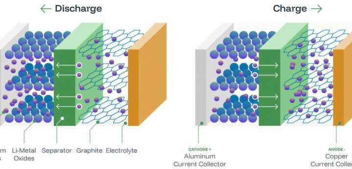 How sustainable are typical electric vehicle batteries?