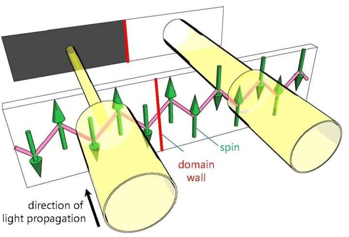 Scientists use light to visualize magnetic domains in quantum materials