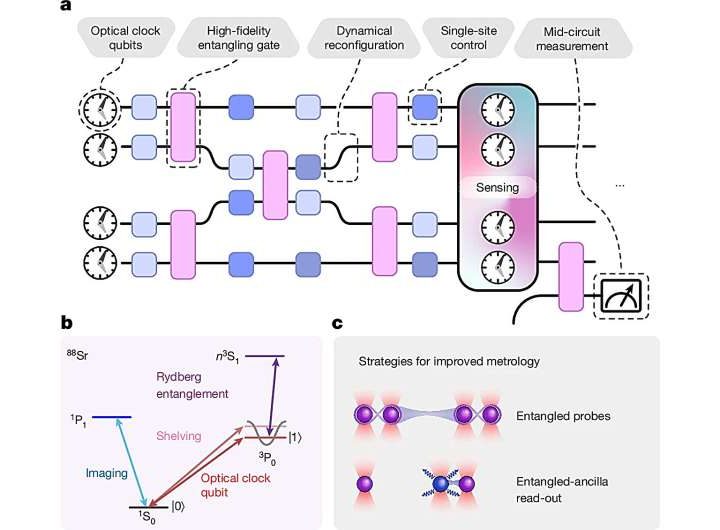 Merging atomic clocks with quantum computers could lead to ultraprecise measurements of laws of nature