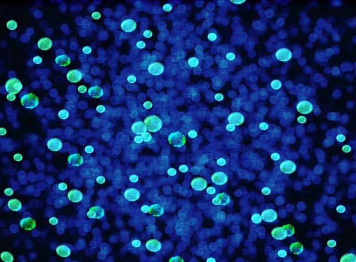 Microbes in environment drove methane emissions more than fossil fuels between 2020 and 2022, analysis finds