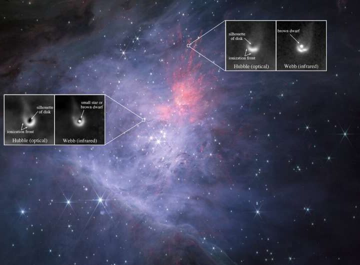 NASA telescopes discover brown dwarf protoplanetary disks in the Orion Nebula