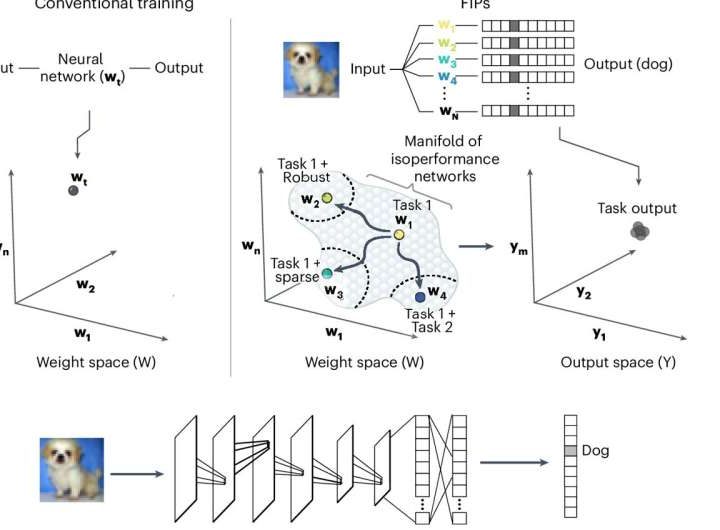 Algorithm inspired by brain allows neural networks to retain knowledge