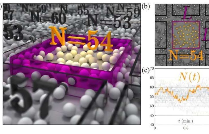 New image recognition technique for counting particles provides diffusion information