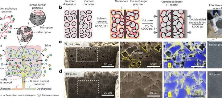 New research unlocks potential of electrochemical separation for water treatment and resource extraction