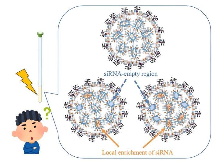 NMR-guided optimization of lipid nanoparticles for enhanced siRNA delivery