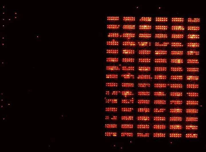 Quantum register reaches 1,200 neutral atoms in continuous operation