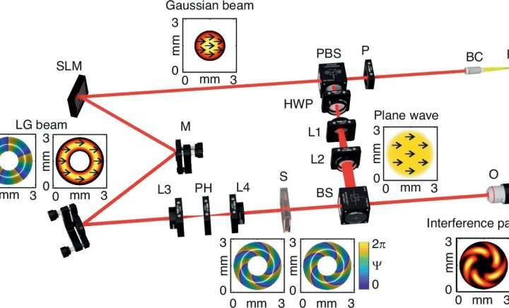 Optical technique that uses orbital angular momentum could transform medical diagnostics