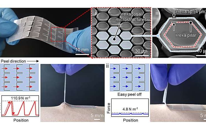 Hybrid patch offers 70X stronger adhesion, preventing cracks without traditional chemical adhesives